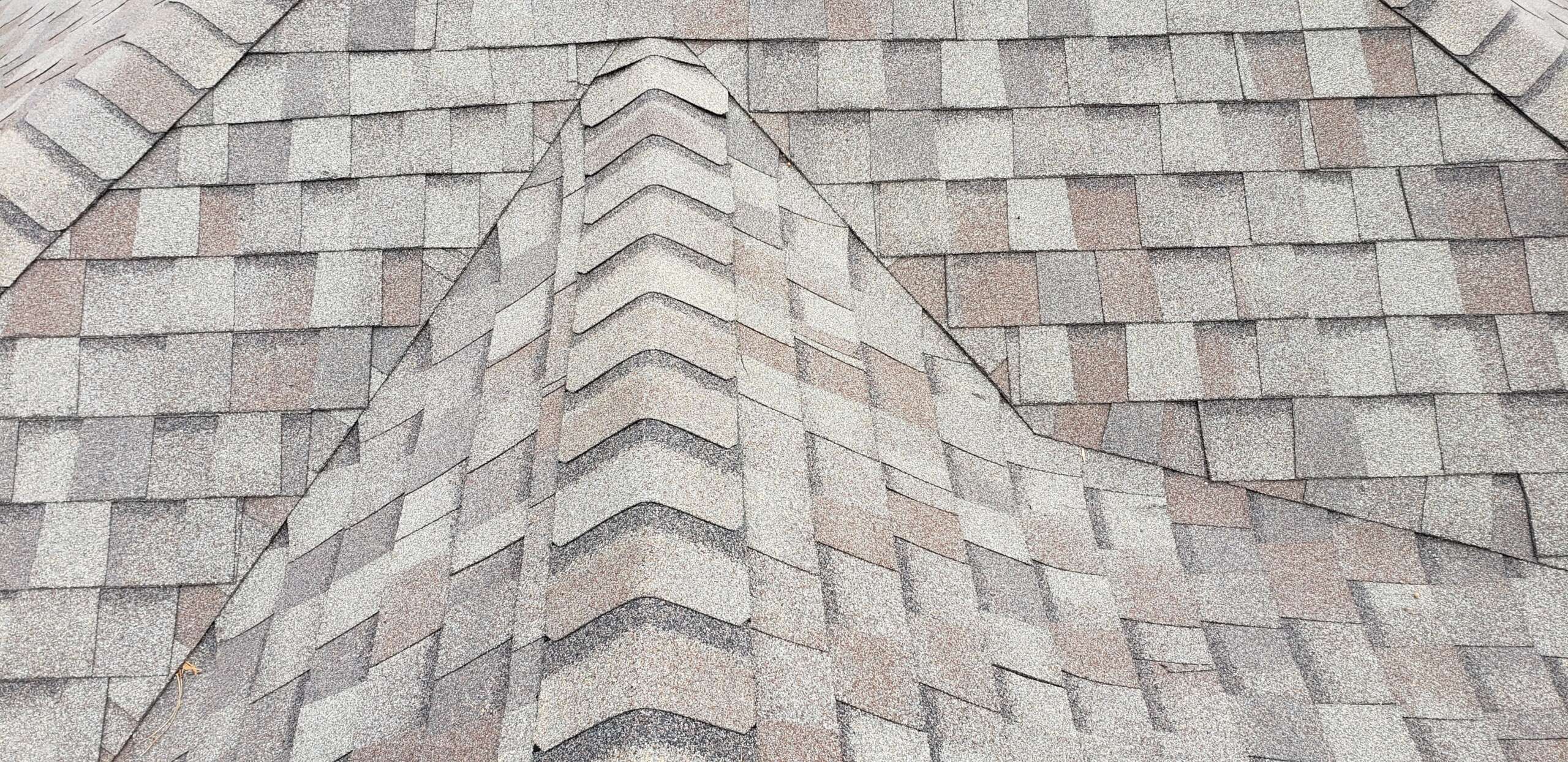 Gonzalez Transformations Exterior Solutions 20190815_170007-scaled 